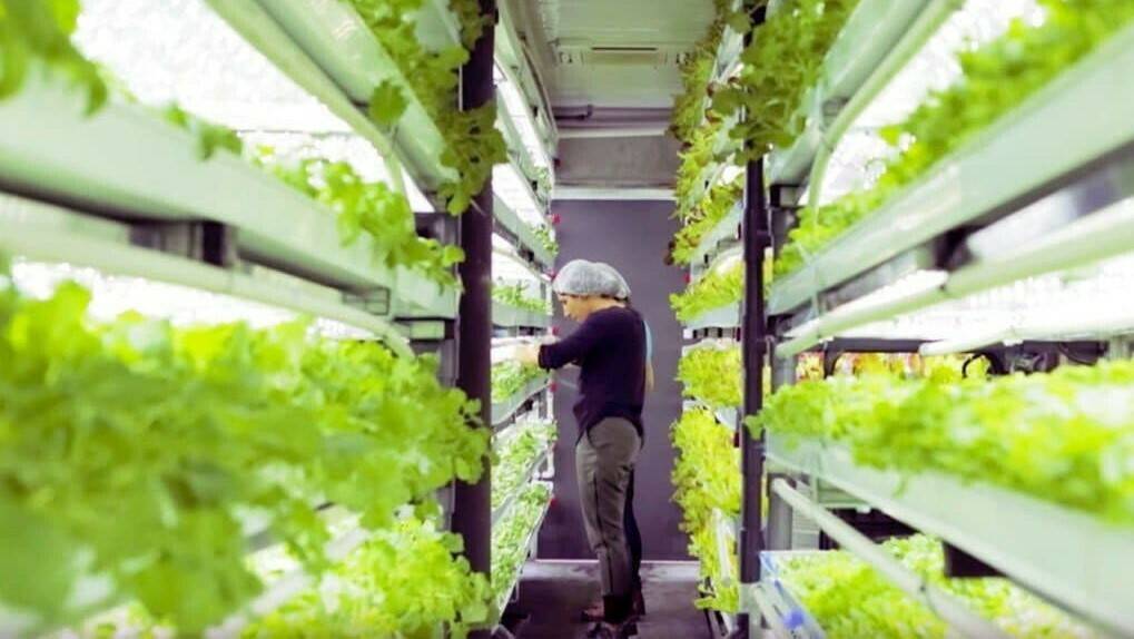 ritec-hidroleaf-horticola-contenedores|ritec-hidroleaf-horticola-contenedores|YDRAY-Captura-de-pantalla-2019-09-13-a-las-11.46.08